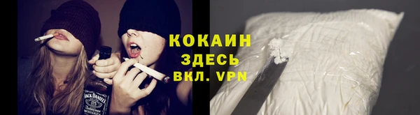 сатива Кодинск