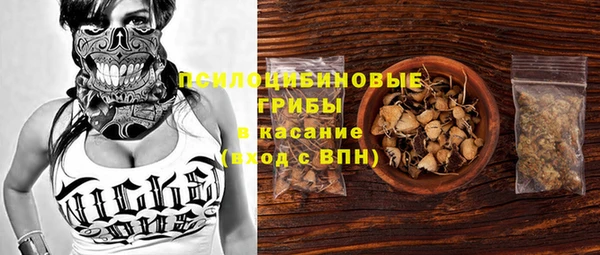 apvp Козловка