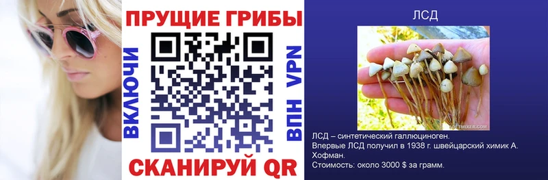 Купить закладки  Рыльск  Псилоцибиновые грибы мухоморы 
